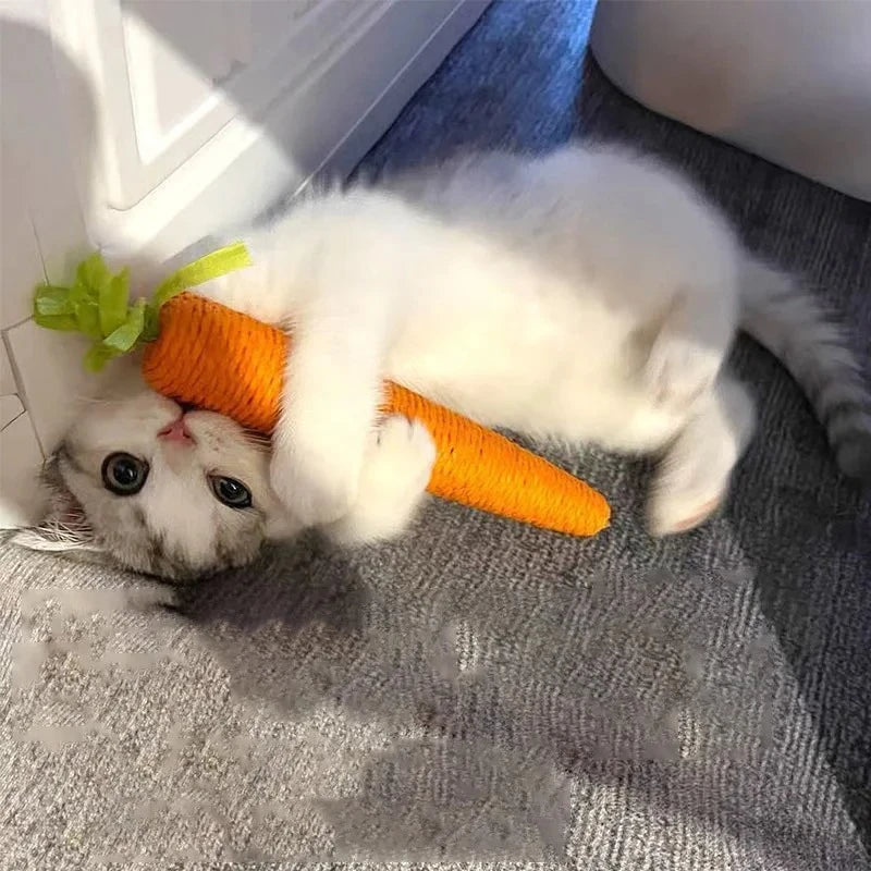 Carrot Cat Toy| Great For Fun Time