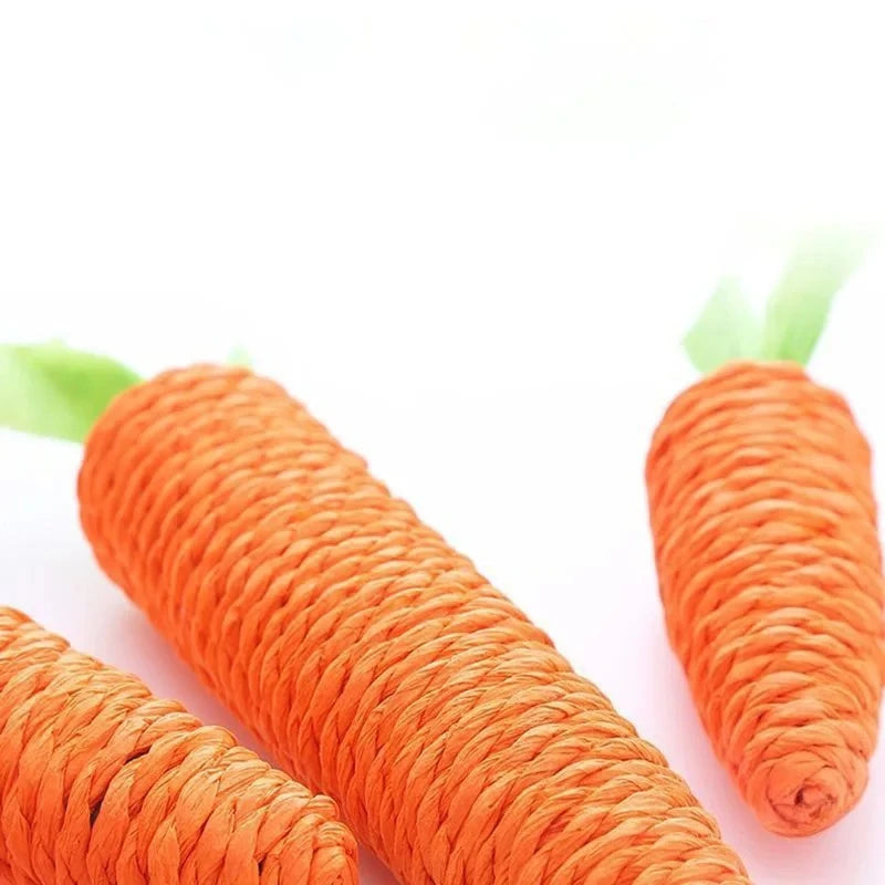 Carrot Cat Toy| Great For Fun Time