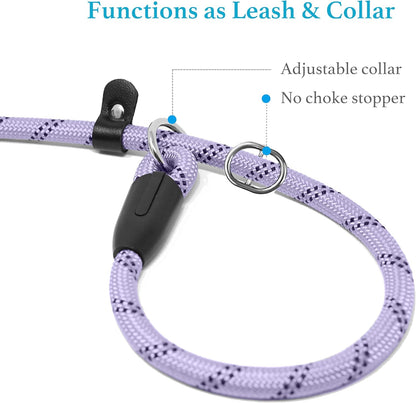 Durable Slip Lead Dog Leash with Padded Handle and Highly Reflective  (3/8" X 6 FT, Lavender)