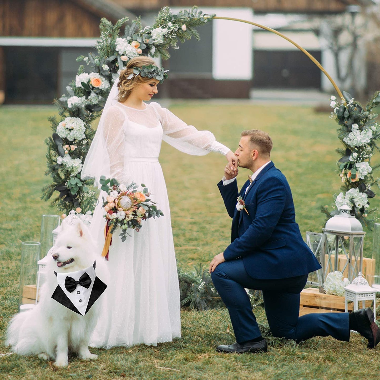 Formal Dog Tuxedo Collar with Adjustable Bow Tie - Black, Large | Available in 3 Sizes