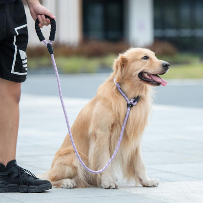 Durable Slip Lead Dog Leash with Padded Handle and Highly Reflective  (3/8" X 6 FT, Lavender)