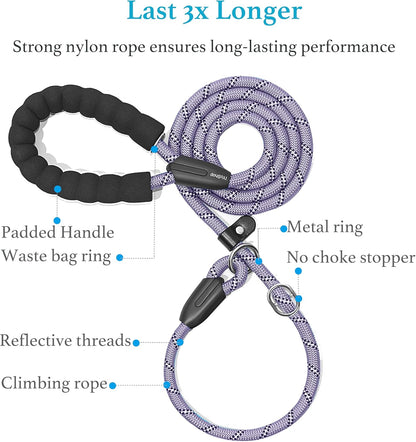 Durable Slip Lead Dog Leash with Padded Handle and Highly Reflective  (3/8" X 6 FT, Lavender)