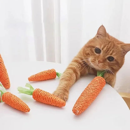 Carrot Cat Toy| Great For Fun Time